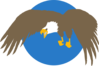Eagle With Blue Circle Background Clip Art